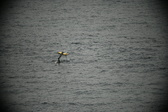 Enlarge photo 117
