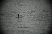 Enlarge photo 118