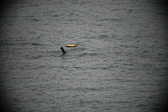 Enlarge photo 120