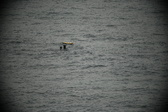 Enlarge photo 121