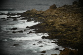 Enlarge photo 130