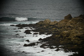 Enlarge photo 133