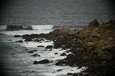 Enlarge photo 134