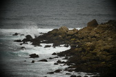 Enlarge photo 135