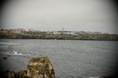 Enlarge photo 150
