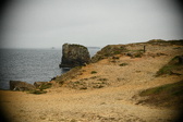 Enlarge photo 152