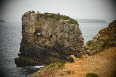 Enlarge photo 154