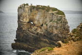 Enlarge photo 155