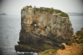 Enlarge photo 156