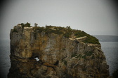 Enlarge photo 157