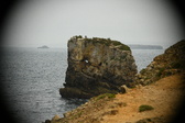 Enlarge photo 159