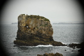 Enlarge photo 160