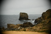 Enlarge photo 161
