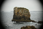 Enlarge photo 165