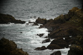 Enlarge photo 166