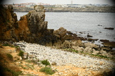 Enlarge photo 168