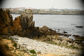 Enlarge photo 169