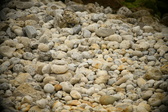Enlarge photo 170