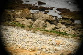 Enlarge photo 171