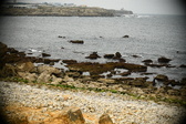 Enlarge photo 173
