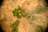Enlarge photo 174