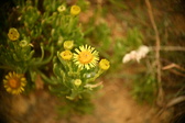 Enlarge photo 176