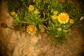 Enlarge photo 177