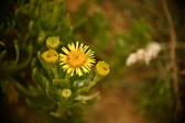 Enlarge photo 179