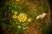 Enlarge photo 180