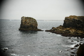 Enlarge photo 181