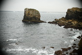 Enlarge photo 182