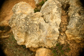 Enlarge photo 183