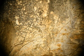 Enlarge photo 184