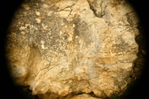 Enlarge photo 185