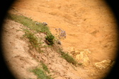 Enlarge photo 186