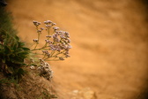 Enlarge photo 189