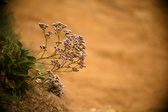 Enlarge photo 191