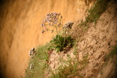 Enlarge photo 194