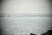 Enlarge photo 195