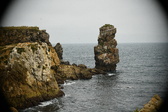 Enlarge photo 198