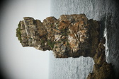 Enlarge photo 201
