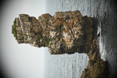 Enlarge photo 202