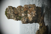 Enlarge photo 203