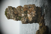 Enlarge photo 204