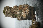 Enlarge photo 205