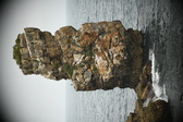 Enlarge photo 206
