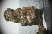 Enlarge photo 207