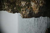 Enlarge photo 209