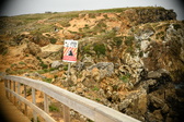 Enlarge photo 213