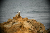 Enlarge photo 216